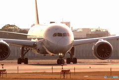 春色の輝き2023✈Boeing 787-8