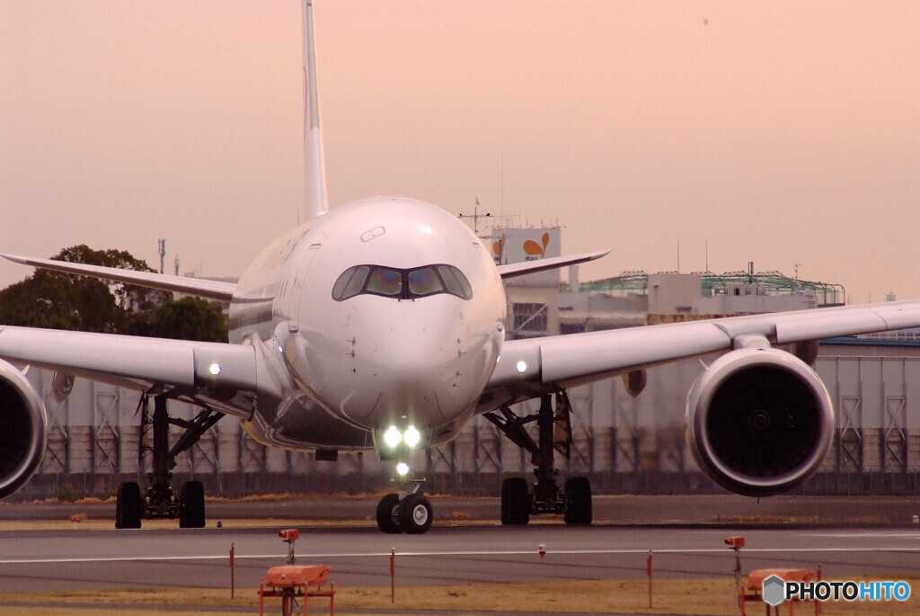 START LINE✈A350-900