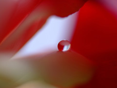 ０(ゼロ)の世界Ⅳ・雫