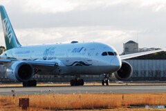 流線形Ⅲ2022✈JA874A