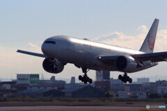 Morning Bird✈777-200