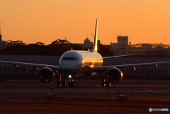 December 23rd✈A321neo 