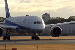SKYLANDの朝★Boeing787-8