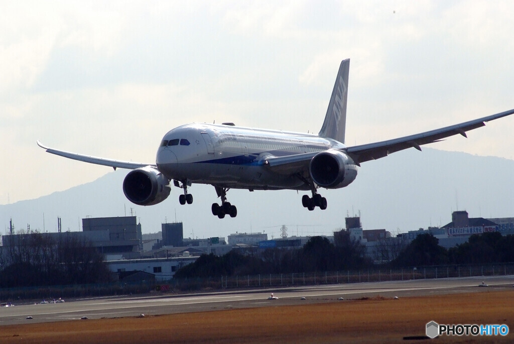 会いにいこうⅧ✈ANA Boeing787-8