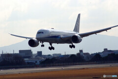 会いにいこうⅧ✈ANA Boeing787-8