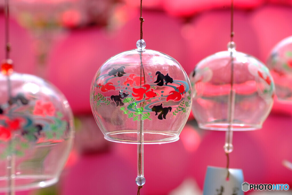 日本の夏✿風鈴2024