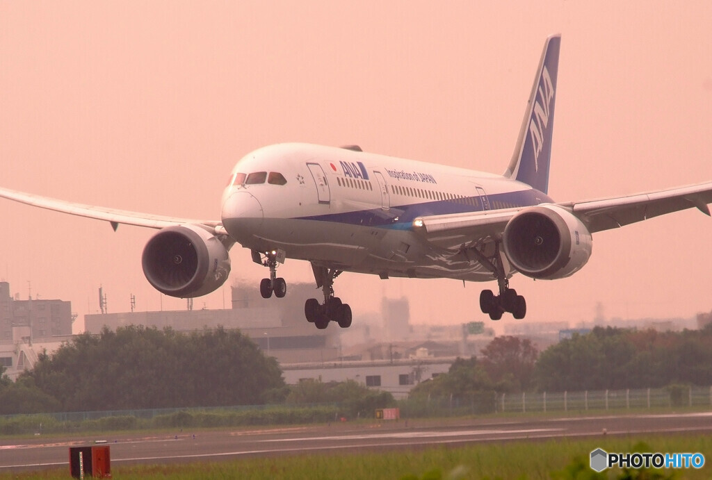 Morning Shot✈HARADA