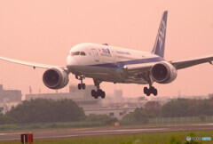 Morning Shot✈HARADA