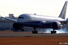 Landing✈787