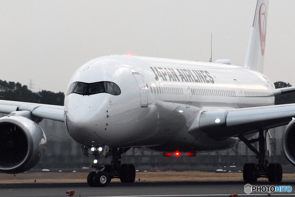 January morningⅡ✈JA14XJ