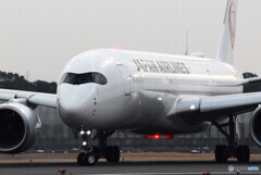 January morningⅡ✈JA14XJ