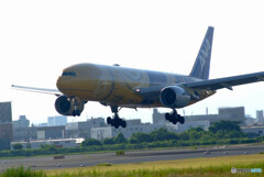 July morningⅣ✈Boeing 777-200