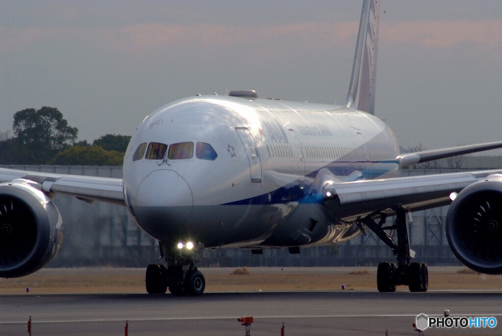都会のOasis✈Boeing787-8