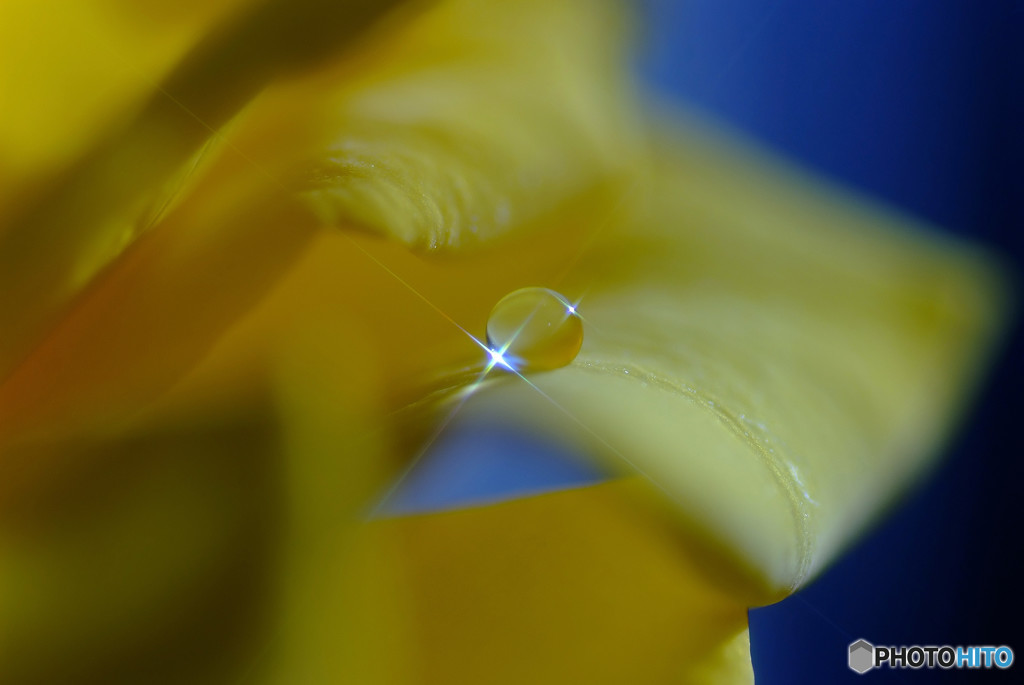 輝きの中へ・雫