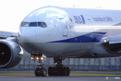 秋旅Ⅴ・飛行機に乗って