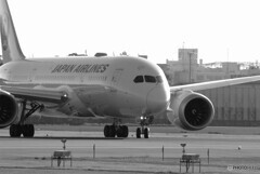 男の浪漫Ⅲ✈Boeing787-8