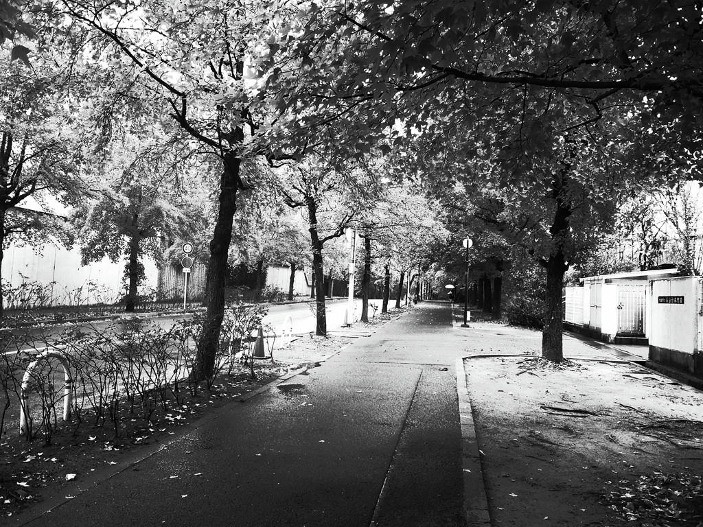 雨の保育園前にて