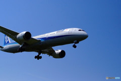 聖地の空から・787-9