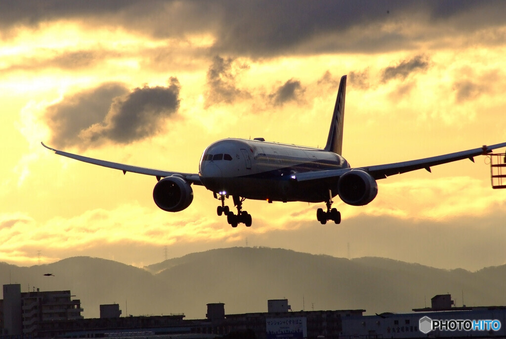 Airplane Paradise✈Boeing 787-9