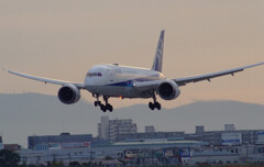 November Morning★Boeing787-8