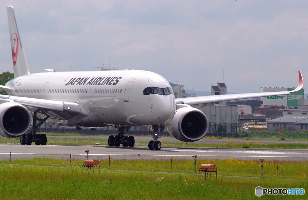 Father's Day Flight★A350