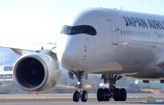 Afternoon of brillianceⅦ✈Airbus350-900