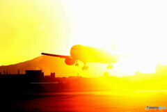 時空を超えて✈STAR ALLIANCE