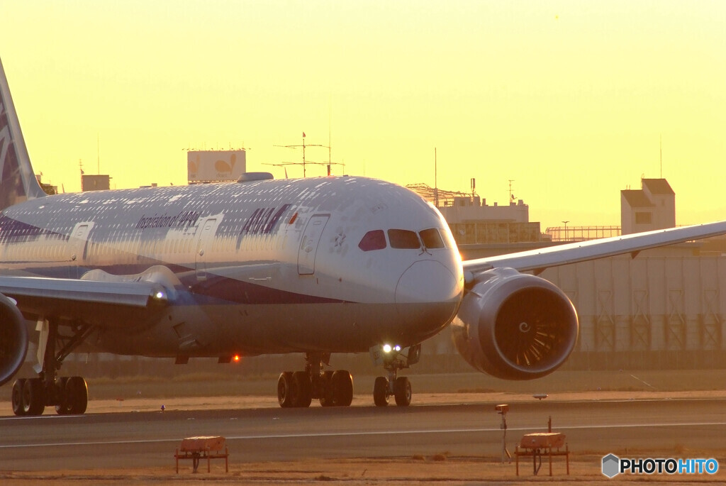2月の旅人Ⅲ✈Boeing 787-9Dreamliner