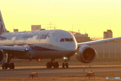 2月の旅人Ⅲ✈Boeing 787-9Dreamliner