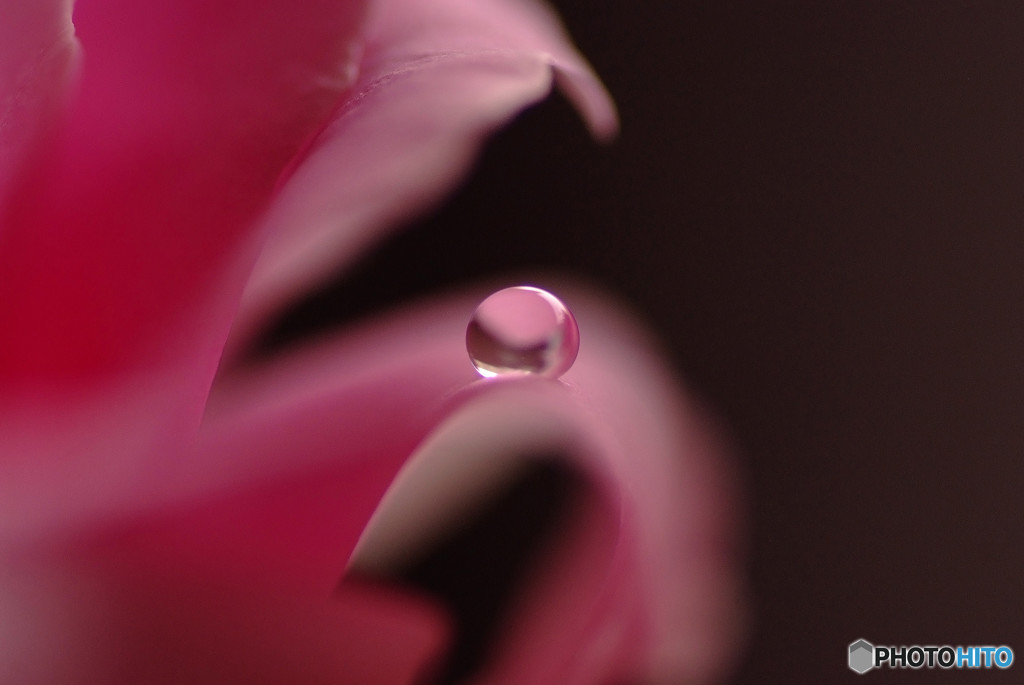 君の瞳に恋してる・雫