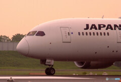 Morning Shot✈Dreamliner 
