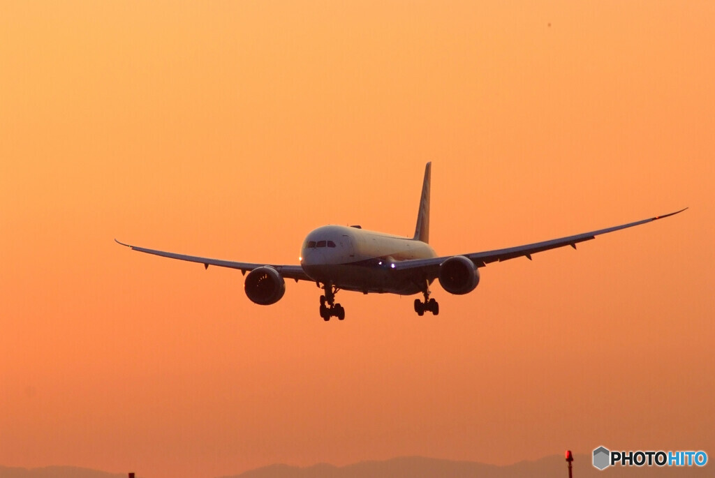 Beautiful Wings✿Boeing787-9