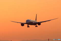 Beautiful Wings✿Boeing787-9