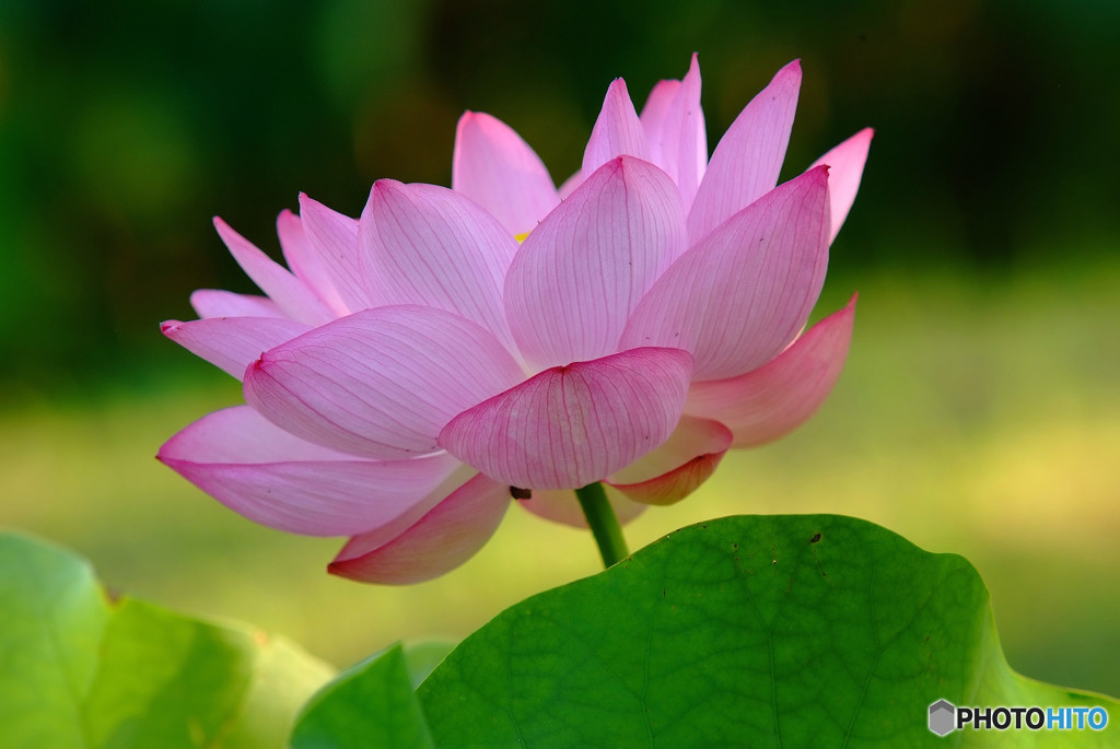 From this Location・華