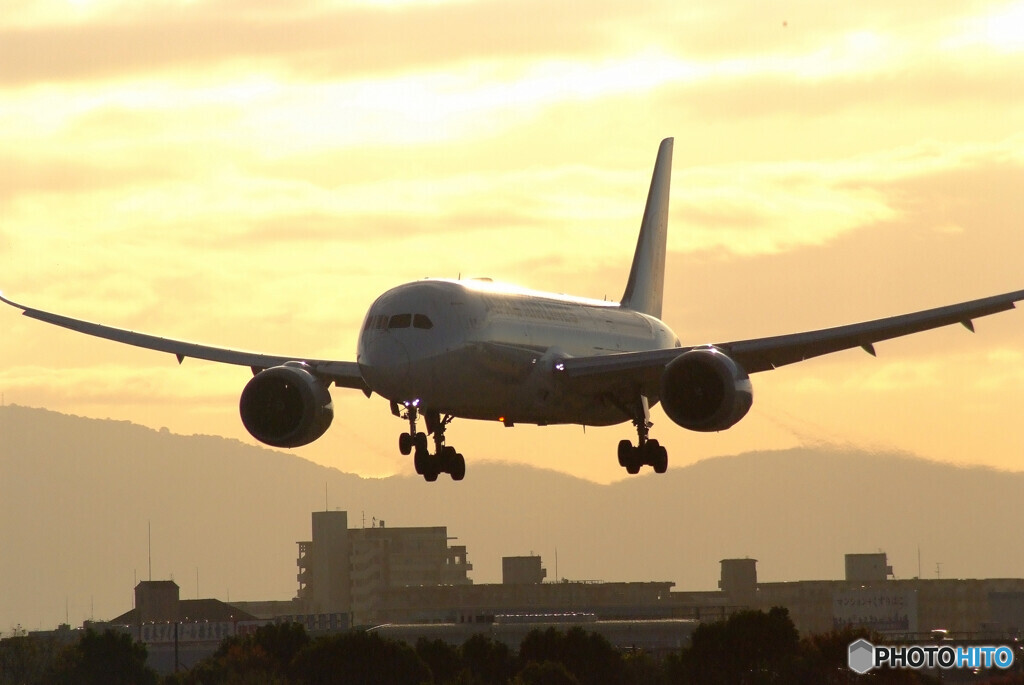 November MorningⅡ✈Boeing787-8