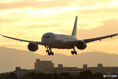 November MorningⅡ✈Boeing787-8