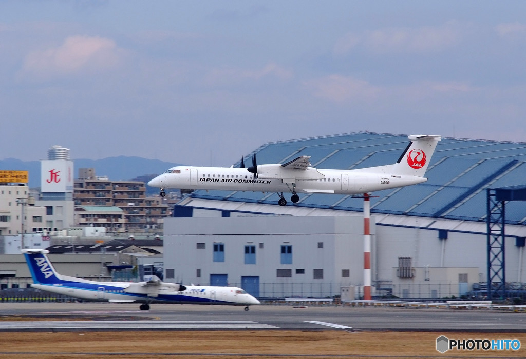 白い貴婦人・JAL