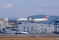 白い貴婦人・JAL