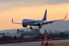 朝焼けの旅へ✈Boeing737-800