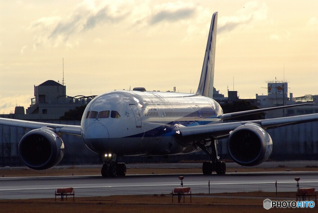 Airplane ParadiseⅤ✈Boeing 787-8