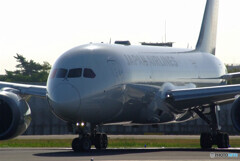 HARADAの夏✈旅立ち Dreamliner