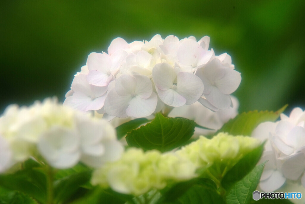 水月の出会い✿2021