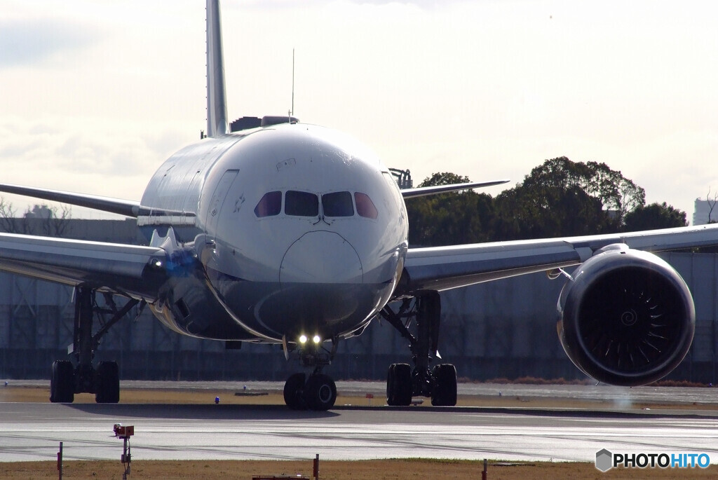 March Morning✈JA811A