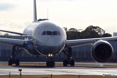 March Morning✈JA811A