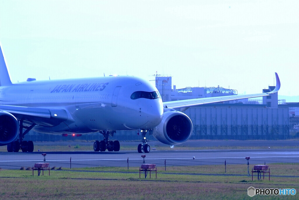 蒼の世界へⅤ✈Japan Airlines 