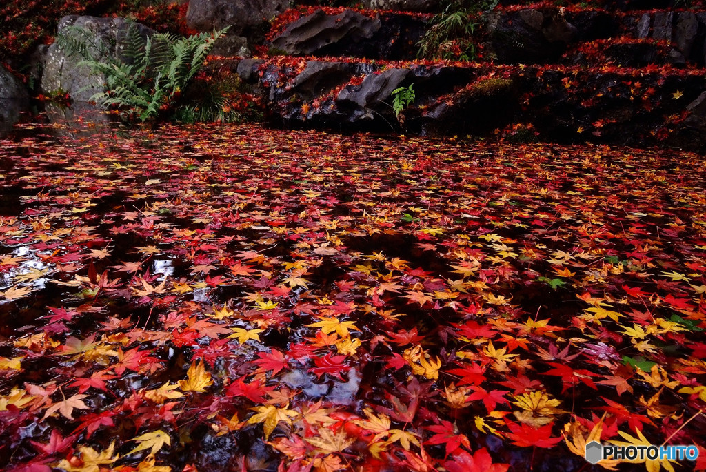 さよならの向こう側には・・