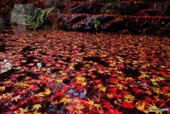 さよならの向こう側には・・