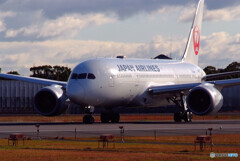 Good Morning✈Boeing787