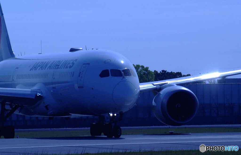 Blue Thunder✈Boeing787-8