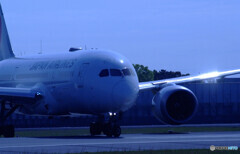 Blue Thunder✈Boeing787-8